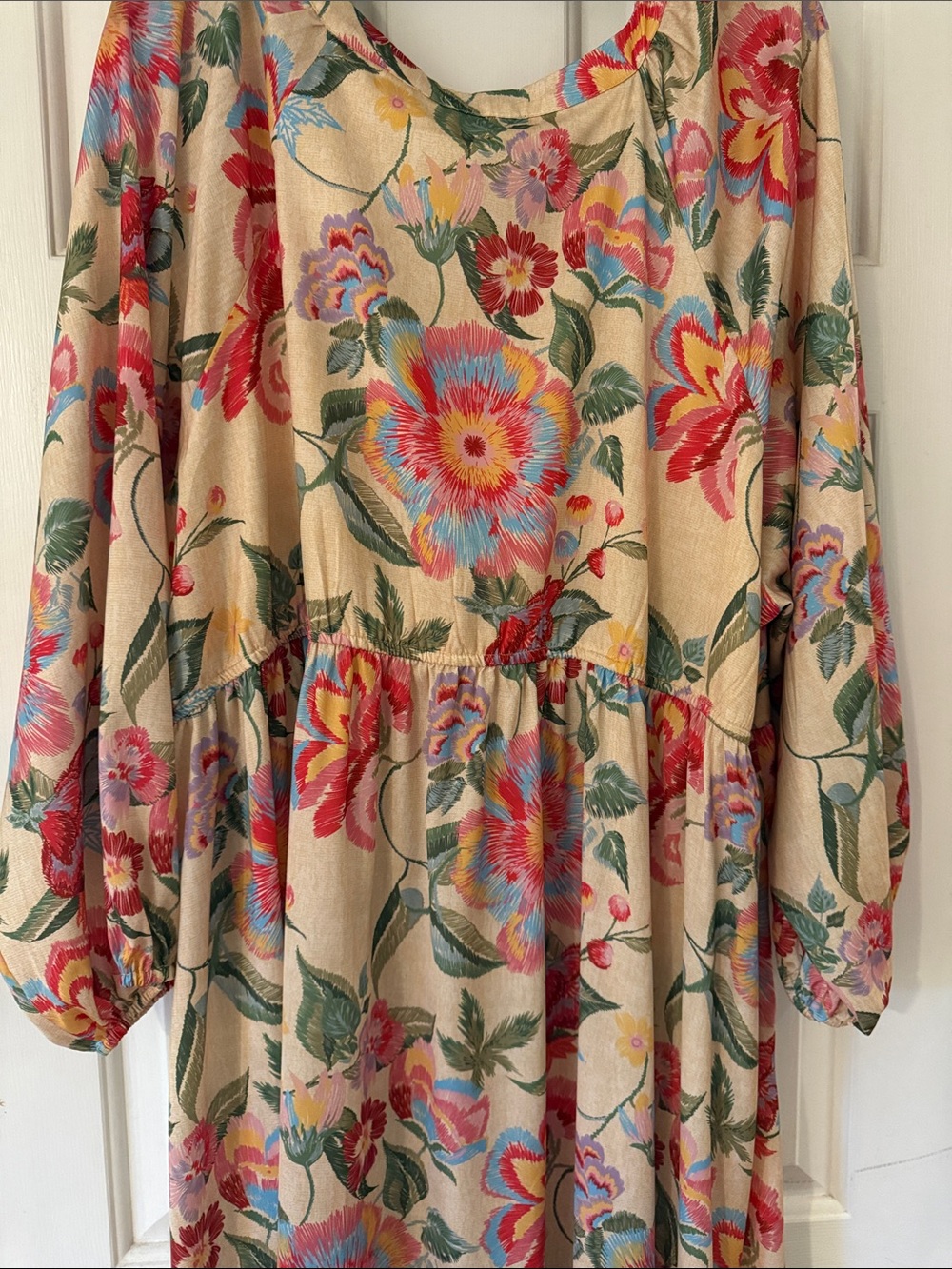 Skies Are Blue Floral Maxi Dress in Cream with Red & Blue Blooms - Picture 4 of 7